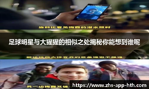 华体会体育平台